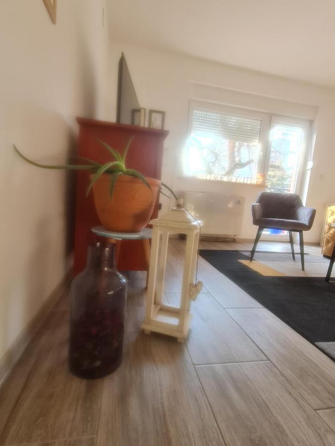 Apartman Karibo Sombor Exterior photo